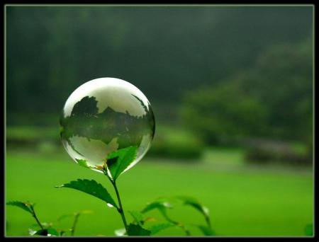 �������  ���������������������������������